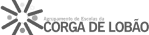 AE de Corga de Lobão